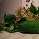 Малосольні огірки хрусткі найпростіший і найшвидший рецепт малосольних огірків
