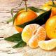 Новорічний фрукт: у чому користь і чи шкода від мандаринів