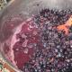 Kako napraviti domaće vino od crnog grožđa Domaće vino od grožđa Kako sami napraviti domaće vino