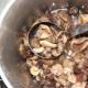 Συντήρηση ελαίων στο σπίτι μυαλά - συνταγές για τη συντήρηση των μανιταριών