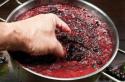 چگونه از توت های شراب شراب درست کنیم