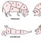 Reglas para recortar canales de cerdo en casa.